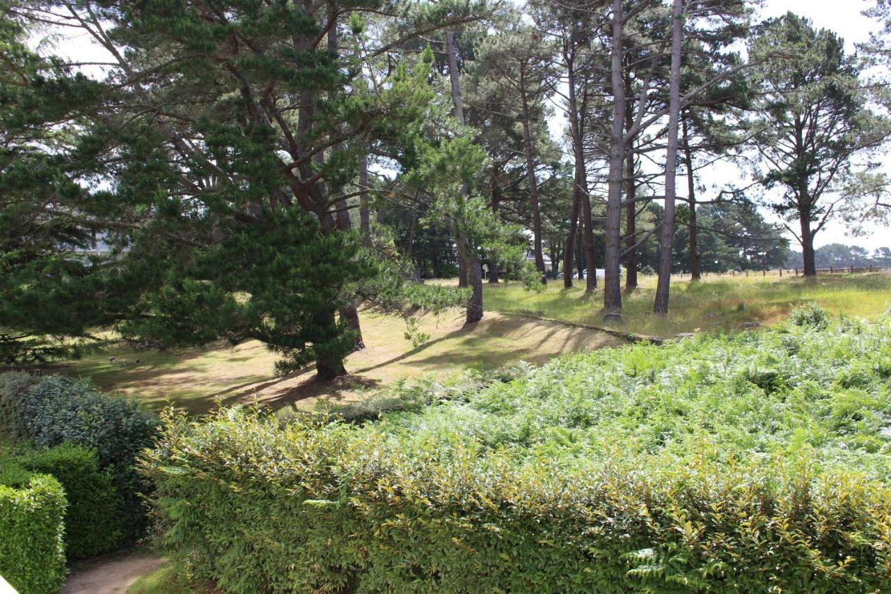 Saint Philibert A 2 Pas De La Mer Apartment Luaran gambar